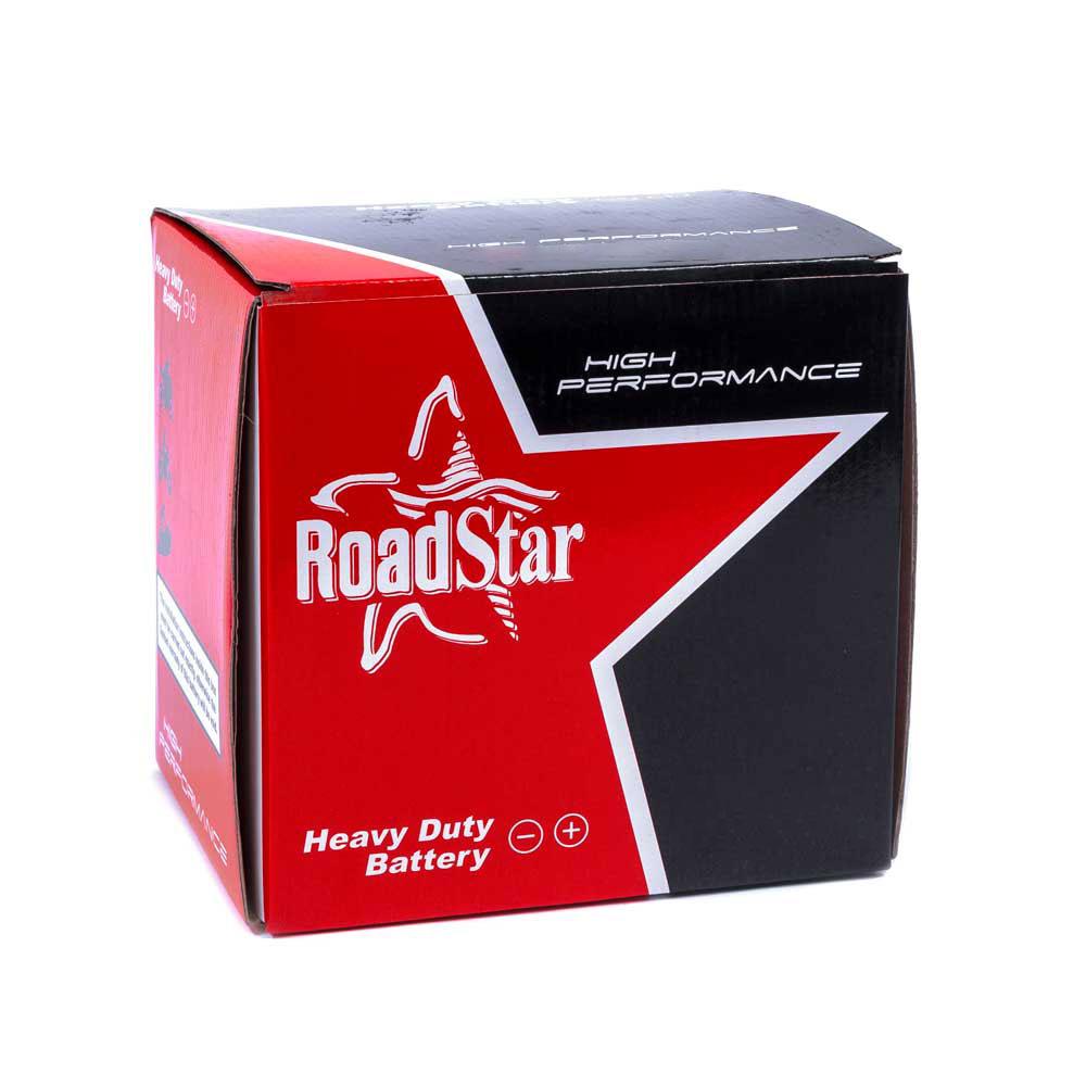 ROADSTAR BATTERY YTX4L BS