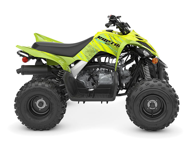 2026 YAMAHA RAPTOR 110