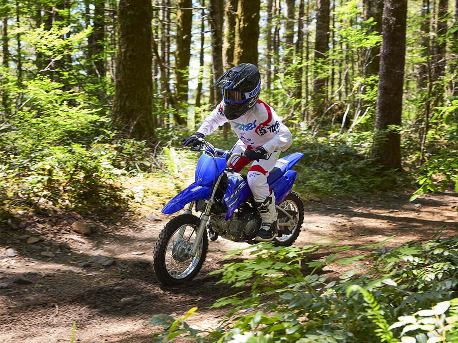 2026 YAMAHA TTR110E